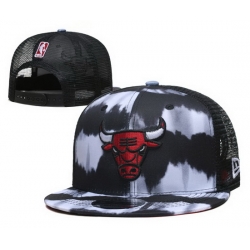 Chicago Bulls NBA Snapback Cap 011