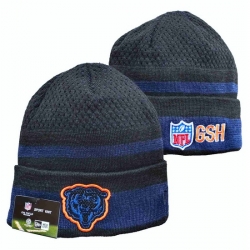 Chicago Bears NFL Beanies 006