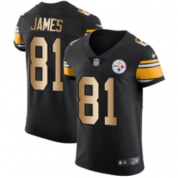 Nike Steelers #81 Jesse James Black Team Color Mens Stitched NFL Elite Gold Jersey