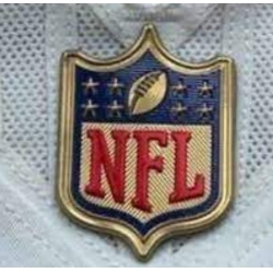 Women Tampa Bay Buccaneers Gold NFL Logo Patch Biaog
